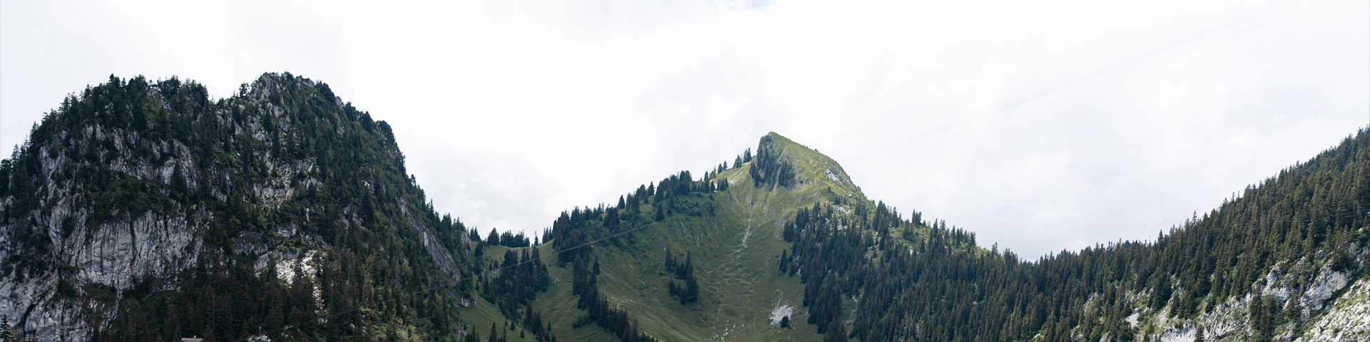 武汉小蜜蜂国际旅行社有限公司