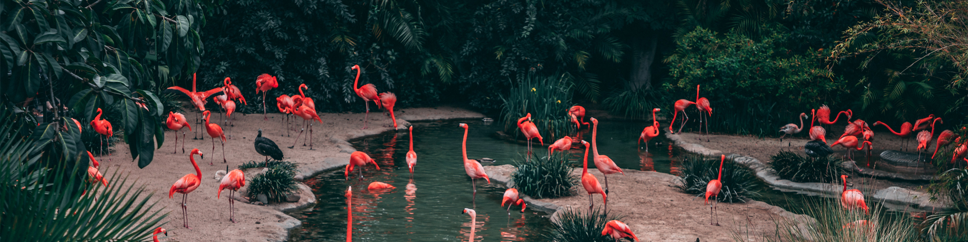 武汉小蜜蜂国际旅行社有限公司